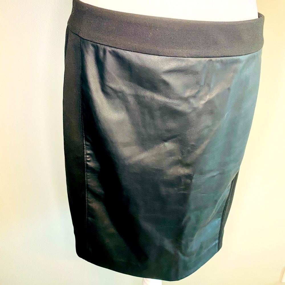 Loft Skirt Front and Back Panel Non-Leather Skirt